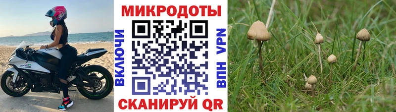 купить   гидра зеркало  Псилоцибиновые грибы Cubensis  Карабаново 